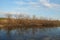 Spring bare shrub near a lake on blue sky background.