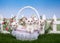 Spring basket with four white kittens in a flower garden