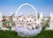 Spring basket with three white kittens in a garden