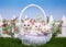 Spring basket with three white kittens in a garden