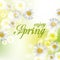 Spring Beautiful background with flowers daisies