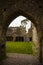 Spring in Bective Abbey Mainistir Bheigti, Ireland