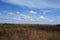 Spring on the Biebrza Marshes, April landscape with reeds