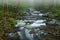 Spring Big Creek Great Smoky Mountains