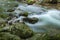 Spring Big Creek Great Smoky Mountains