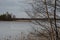 Spring birches on the shore of a lake covered with melting ice.