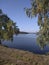 Spring birches on the shores of the clean Ural Lake.