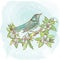 Spring Bird Illustration