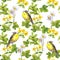 Spring birds, meadow flowers, wild herb. Seamless pattern. Water color