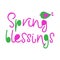 Spring blessing- hand drawn vector lettering. Positive slogan. Hand lettered quote. Motivational and inspirational phrase. Poster