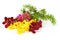 Spring blooming barberry branches with yellow and red leaves, barbs and green juniper, template for text or design. Close-up