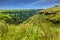 Spring blooming Golan Heights