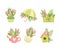 Spring Blooming Pink Tulip and Lily of the Valley Flower Bouquet Vector Set