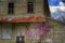 Spring blooming shrubs in front of an abandoned building