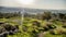 The spring blossom at the Ayalon valley near the Latrun Trappist Monastery of the Silent Monks, near Jerusalem, Israel