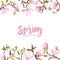 Spring Blossom Background - Magnolia Flowers