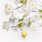 Spring blossom branches with hanging yellow Easter egg at white wall background