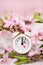 Spring blossom concept. Miniature clock, flowering tree close-up and copy space. Pink natural texture of flowering tree.