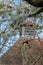 Spring blossom at Eastcote House in front of the dovecote at historic walled garden in the Borough of Hillingdon, London, UK