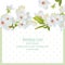 Spring blossom flowers card dotted background. Retro delicate Wedding Invitation. Place for text. Vector illustration