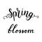 Spring blossom hand lettering. Vector inspirational lettering.