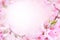 Spring blossom/springtime cherry bloom, bokeh flower background, pastel and soft floral card