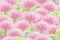 Spring blossoming trees seamless pattern.