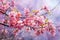 Spring Blossoms in Watercolor: An Artistic Journey