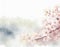 Spring blossoms watercolor faded background