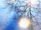 Spring blue sky,trees birds and sunlight in in water reflection on road ,season background