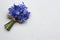 Spring blue wild flowers Scilla bouquet on Noble Carrara quartz