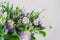 Spring boquet of flowers for present isolated