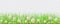 Spring border with green grass and flowers on transparent background.