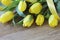 Spring bouguet of yellow tulips with green leaves and satin yellow ribbon close-up on wooden brown background.