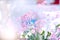 Spring bouquet of flowers. Background of blurred colors. Color glare. Card. Free space for text.