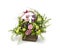 Spring Bouquet of Flowers in Rustic Wood Box - Floral Arrangement by Florist - Flower Shop - Tulips, Daisies