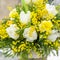 Spring bouquet for the International Women`s Day on March 8 from the mimosa of white tulips and daffodils