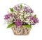 Spring bouquet. Lily of the valley and lilac in a basket isolate