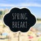 Spring break in a signboard on the beach