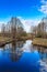 Spring Brook, blue sky, on the banks of alder