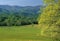 Spring, Cades Cove