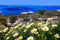 Spring caldera and volcano, Santorini, Greece