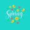 Spring card and background. Vintage lettering typography with flowers, butterflies, green leaves and birds. Springtime vector