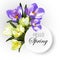 Spring card, vector crocus flowers bouquet. Holiday Poster Design