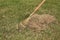 Spring care for lawn, manual scarification of lawn with fan rake