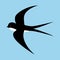 Spring cartoon black and white swallow in motion isolated on blue background