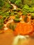 Spring cascades in rapid stream of mineral water. Red ferric sediments on big boulders