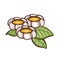 Spring chamomile flowers. vector illustration Cartoon style.