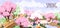 Spring cherry blossom. Japan park landscape background. Blooming floral trees, lush pink flowers, sakura in nature