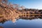 Spring Cherry Blossoms around Tidal Basin Washington DC